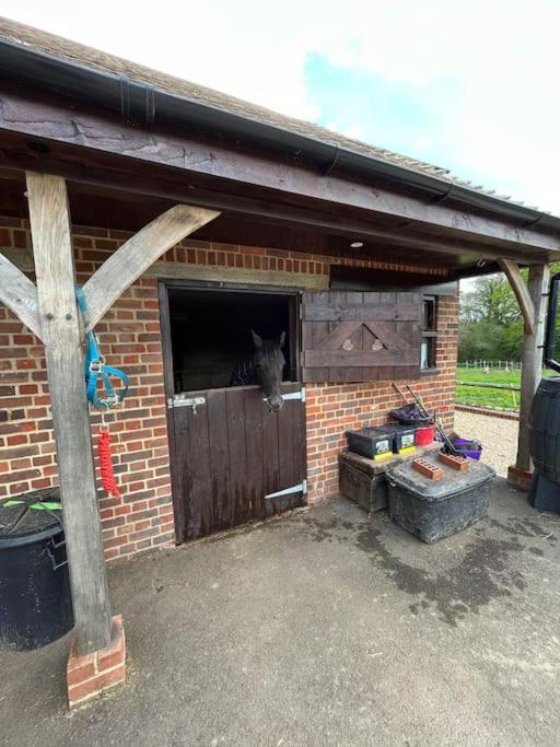 The Stable, Grove End Farm Apartment Petworth Ngoại thất bức ảnh